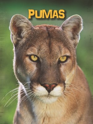 cover image of Pumas